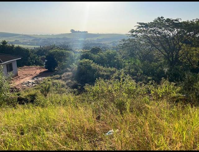 LAND FOR SALE IN MTUNZINI